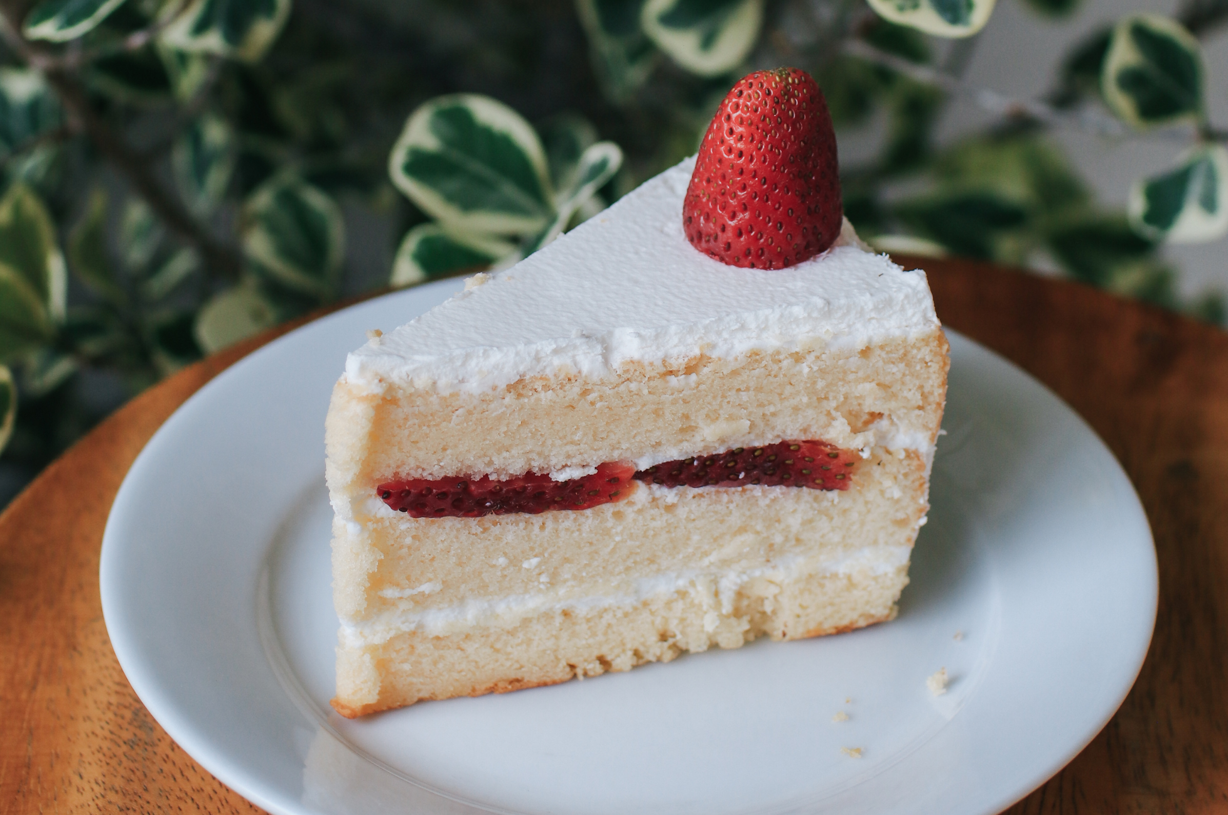 Image of Pro Chefly strawberry sponge cake slice layered with whipped cream and fresh strawberries, topped with smooth frosting and a whole berry, showcasing light texture and elegant dessert presentation