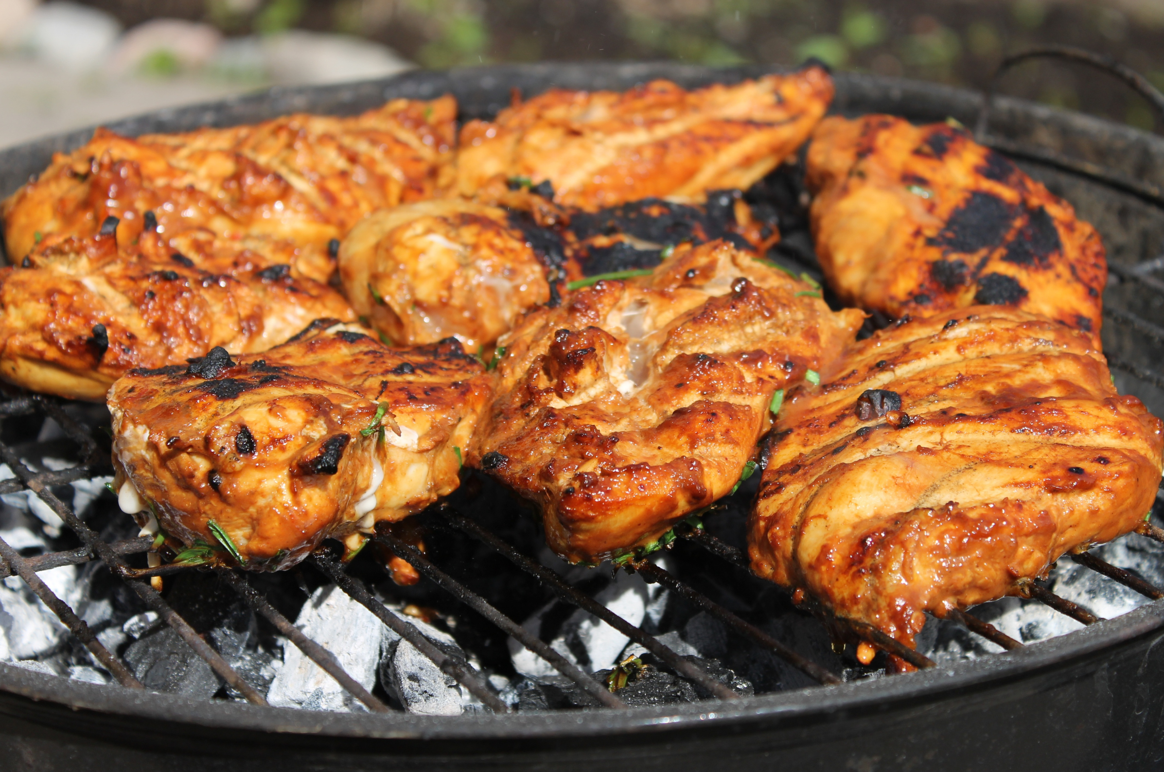 Image of Pro Chefly grilled chicken breasts and thighs cooking over charcoal with caramelized marinade, smoky char marks, and juicy golden-brown exterior fresh from the barbecue.