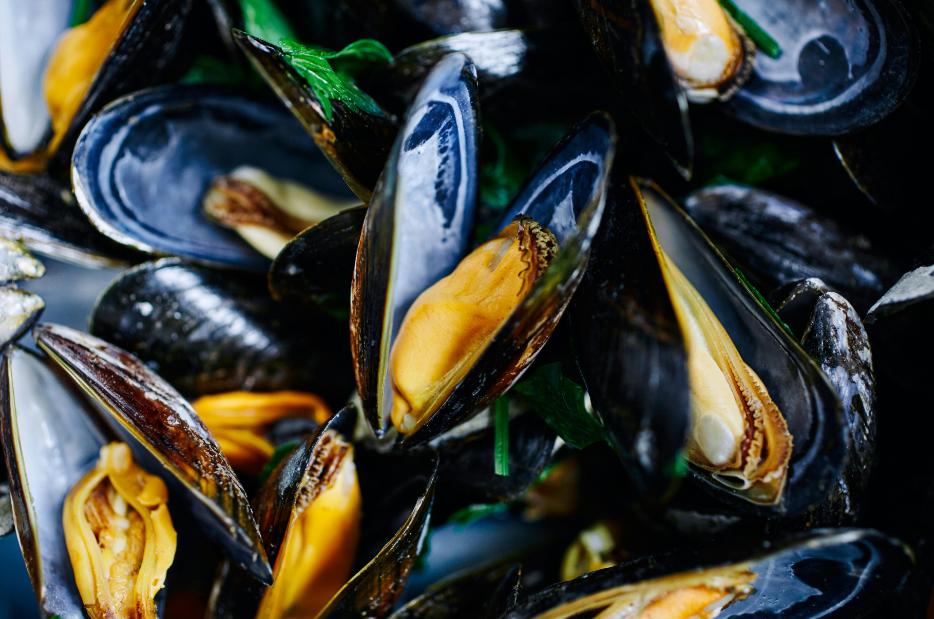 Close-up of freshly steamed mussels in their shells, glistening with butter and herbs, shot for Pro Chefly using Japanese knives for preparation.