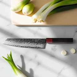 Image of Kiritsuke Knives